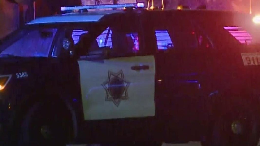 San Jose teens involved in traffic stop that preceded police shooting, attempted carjacking — CBS Bay Area (KPIX), Shorewood Schools news