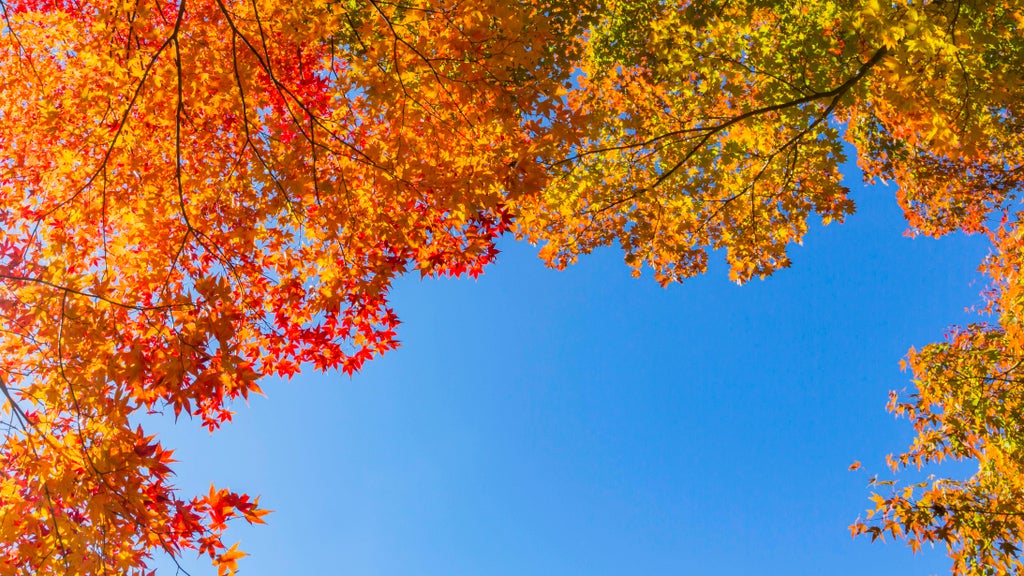 More near-record warmth Monday in Minnesota ahead of big cooldown — WCCO / CBS Minnesota, Shorewood Community news