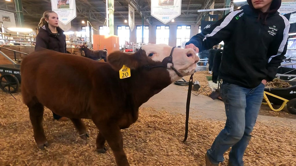 Spotlight on beef as Minnesota midterms near — WCCO / CBS Minnesota, Shorewood Community news