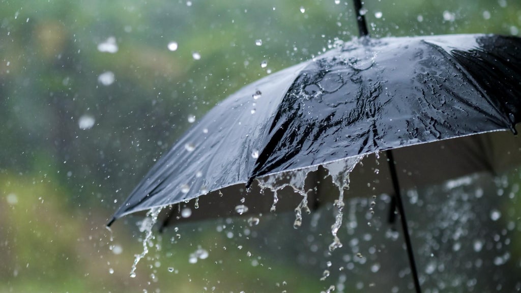 Widespread rain in Minnesota Monday; milder air returns Tuesday — WCCO / CBS Minnesota, Shorewood Community news