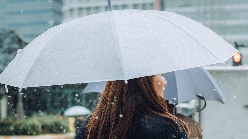 Soggy, chilly Thursday in the Twin Cities; season's first frost possible Saturday — WCCO / CBS Minnesota, Shorewood Sports news