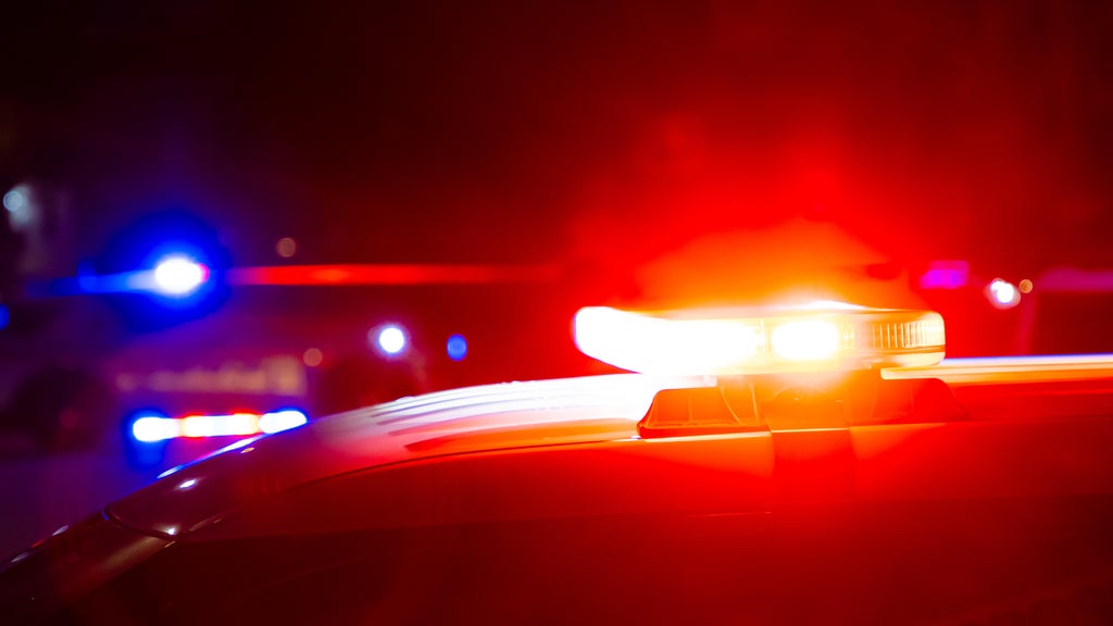 Driver killed in head-on collision with semi in central Minnesota — Shorewood Community news