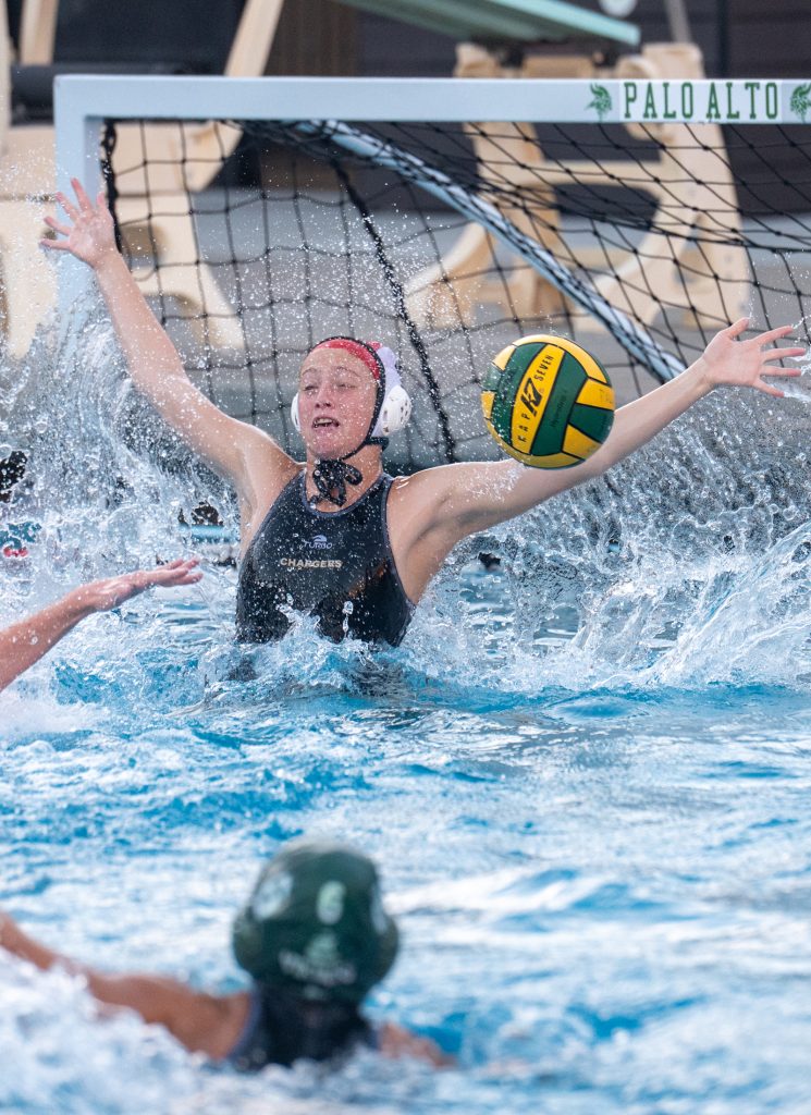 Wilcox Water Polo Caught in Vikings Rip Current — Silicon Valley Voice, Shorewood Sports news