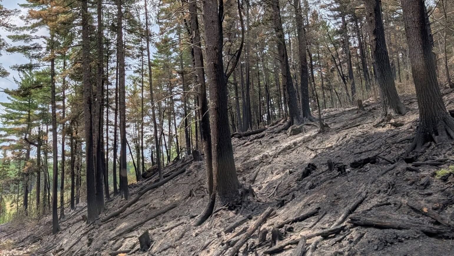 74-year-old who became separated from his family on a trail in Ely was discovered dead — KSTP 5, Shorewood Community news