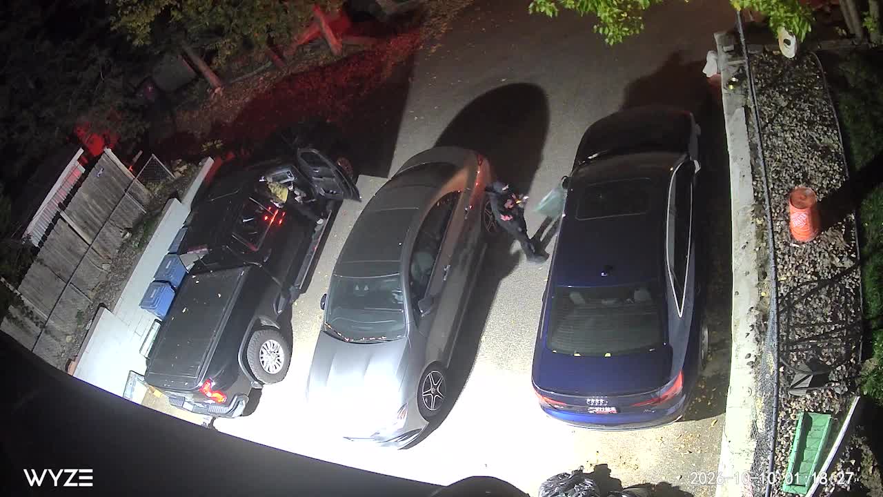 Juvenile window-smashing suspects caught on camera in south Minneapolis — KSTP 5, Shorewood Real Estate news