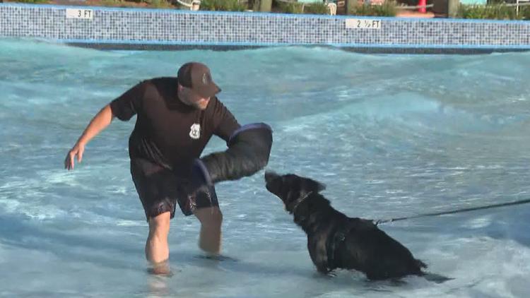 Tampa police K-9s train at theme park to prepare for emergencies — WTSP 10 Tampa Bay, Shorewood Community news