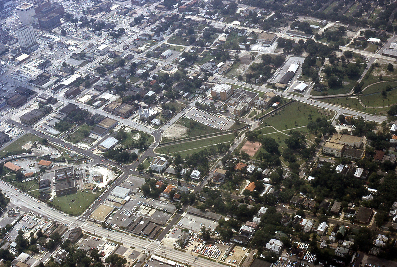 THE JAXSON | The oak tree that remembers Black Bottom — Jacksonville Today, Shorewood Schools news