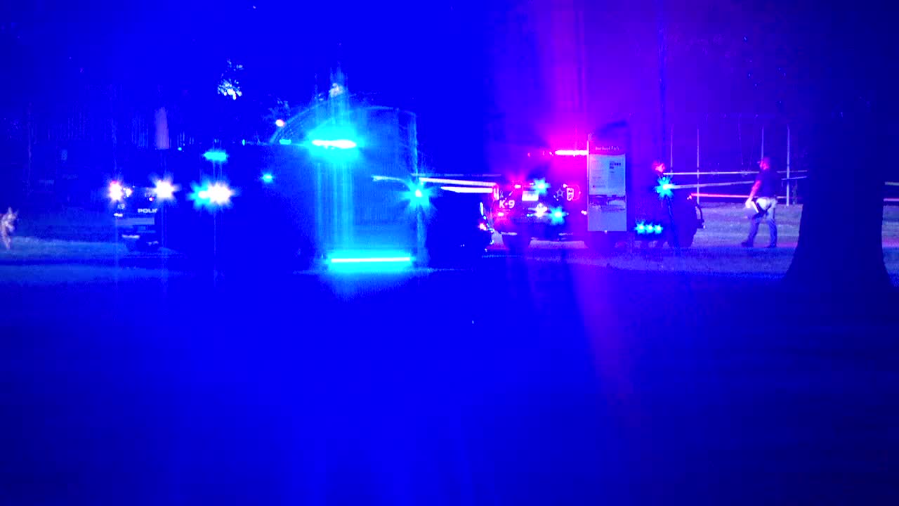 Brooklyn Park teen shooting suspect ordered to stand trial as adult — FOX 9