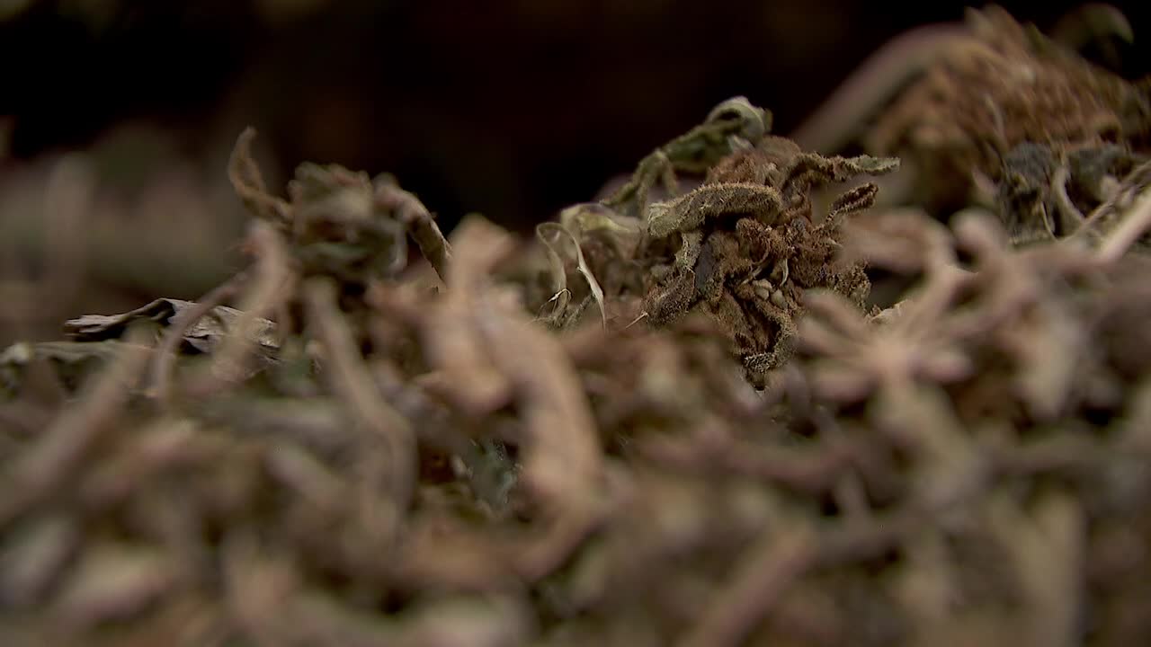 Hemp THC deadline hits $200 million industry, leads to layoffs, but liquor stores may maintain — FOX 9, Shorewood Business news