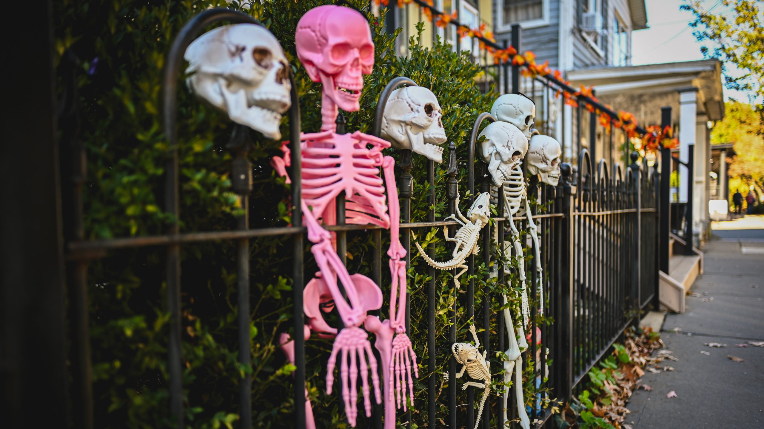 America's best cities for Halloween, ranked — FOX 9, Shorewood Community news