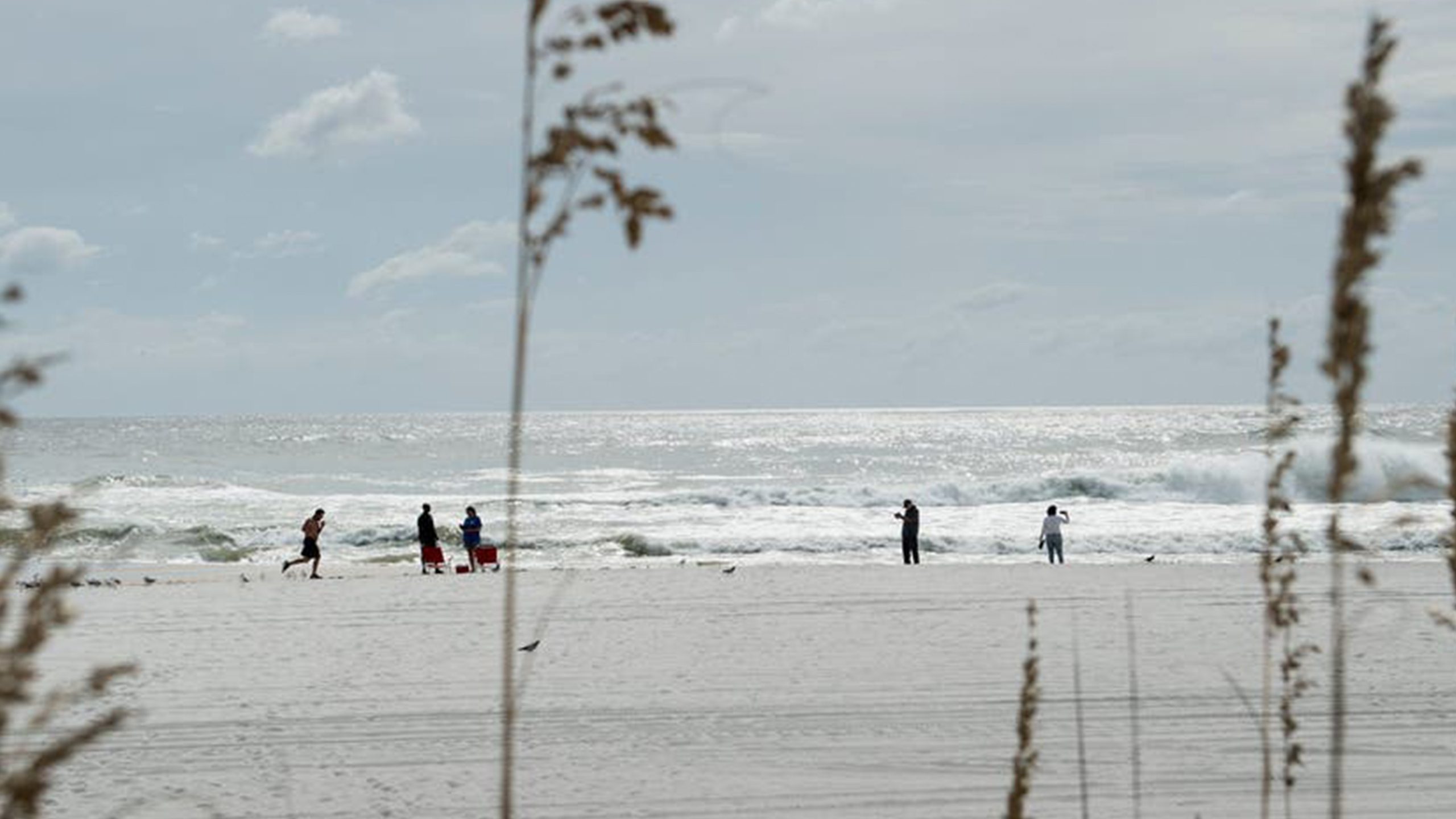 Father of 2 drowns after being caught in current trying to rescue seagull caught in fishing line — Shorewood Community news