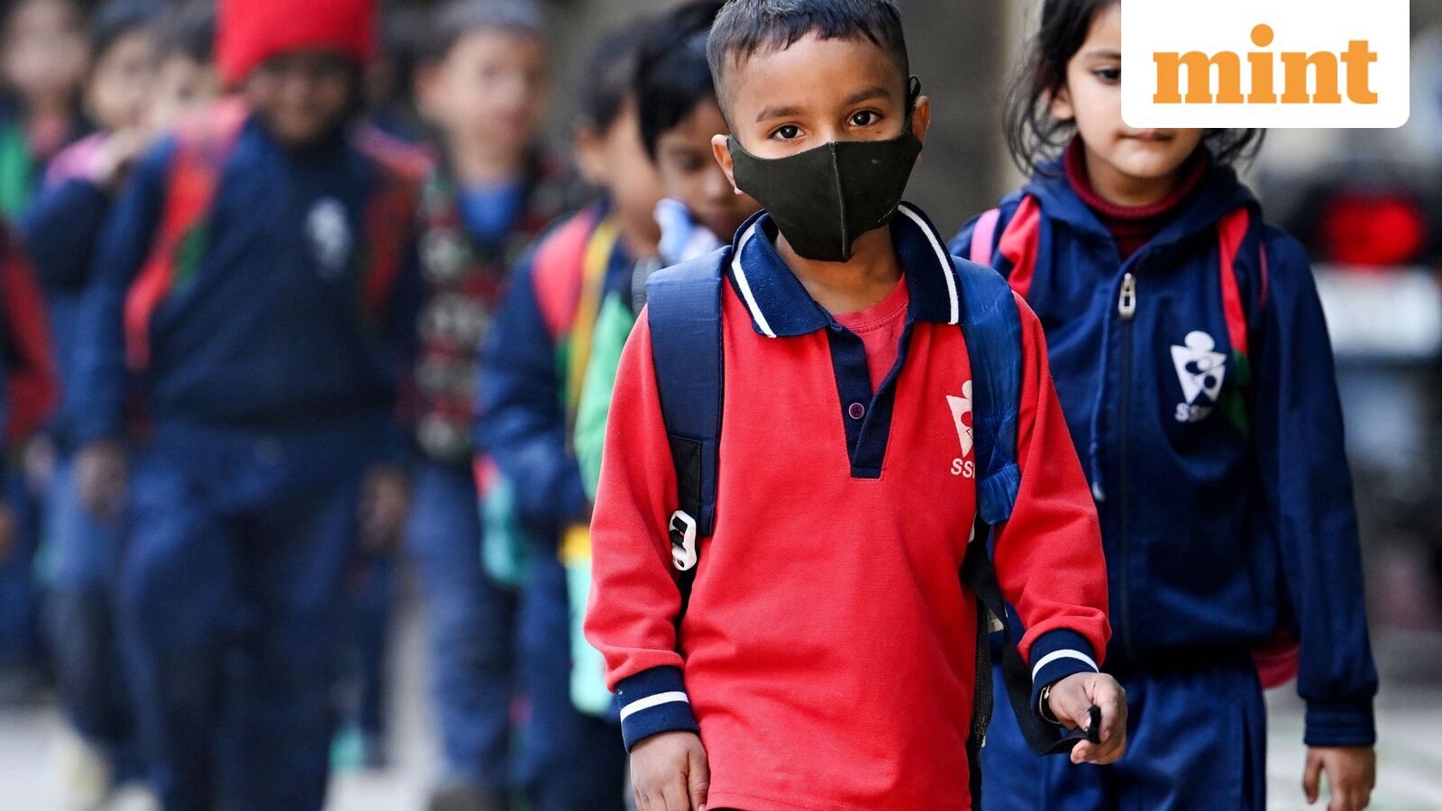 Chennai school holiday, Oct 21: Schools shut in four Tamil Nadu districts as heavy rains predicted | Check IMD alert — Mint India, Shorewood Schools news